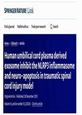 Human umbilical cord plasma derived exosome inhibit the NLRP3 inflammasome and neuro apoptosis in traumatic spinal cord injury